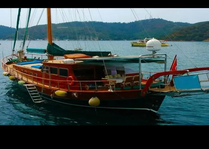 Markus,mandalina,teknesi