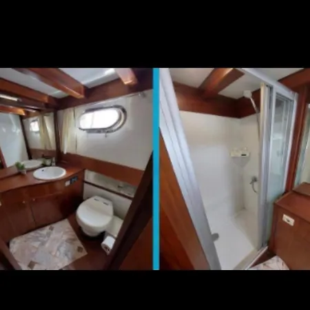 Markus,mandalina,teknesi *