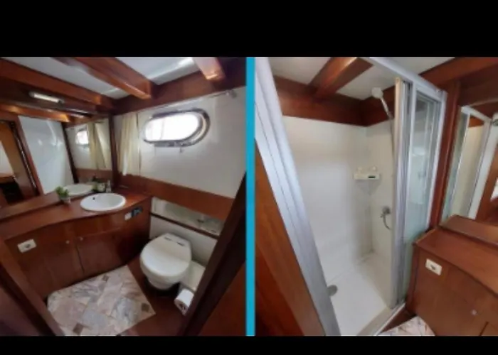 Markus,mandalina,teknesi *