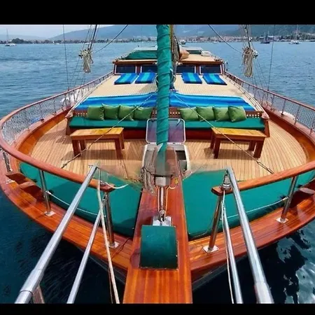 Markus,mandalina,teknesi 博德鲁姆